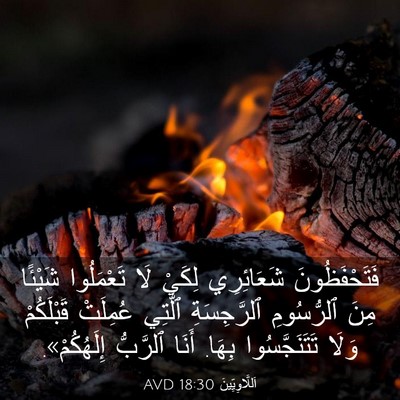 Picture 03 - اَللَّاوِيِّينَ 18:30 AVD - فَتَحْفَظُونَ شَعَائِرِي - Bible Verse Picture