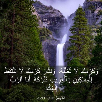 Picture 03 - اَللَّاوِيِّينَ 19:10 AVD - وَكَرْمَكَ لَا - Bible Verse Picture