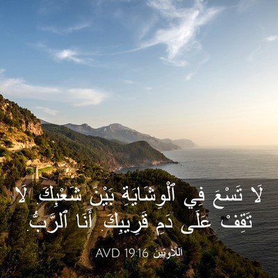 Picture 03 - اَللَّاوِيِّينَ 19:16 AVD - لَا تَسْعَ فِي - Bible Verse Picture