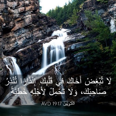Picture 03 - اَللَّاوِيِّينَ 19:17 AVD - لَا تُبْغِضْ أَخَاكَ فِي - Bible Verse Picture