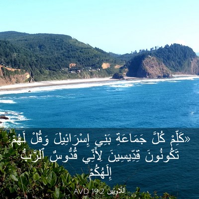 Picture 03 - اَللَّاوِيِّينَ 19:2 AVD - «كَلِّمْ كُلَّ جَمَاعَةِ - Bible Verse Picture