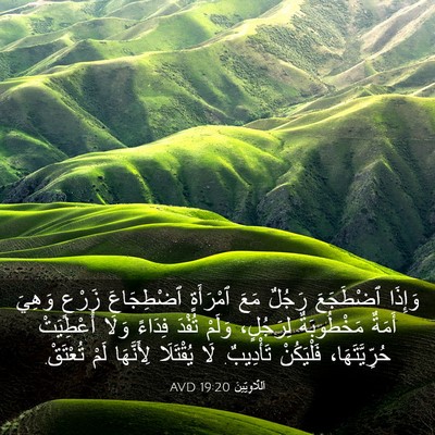 Picture 03 - اَللَّاوِيِّينَ 19:20 AVD - وَإِذَا ٱضْطَجَعَ رَجُلٌ - Bible Verse Picture