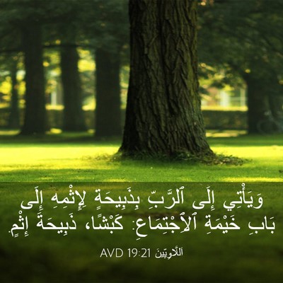 Picture 03 - اَللَّاوِيِّينَ 19:21 AVD - وَيَأْتِي إِلَى ٱلرَّبِّ - Bible Verse Picture