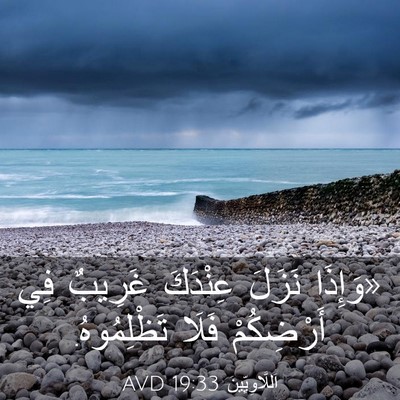 Picture 03 - اَللَّاوِيِّينَ 19:33 AVD - «وَإِذَا نَزَلَ عِنْدَكَ - Bible Verse Picture