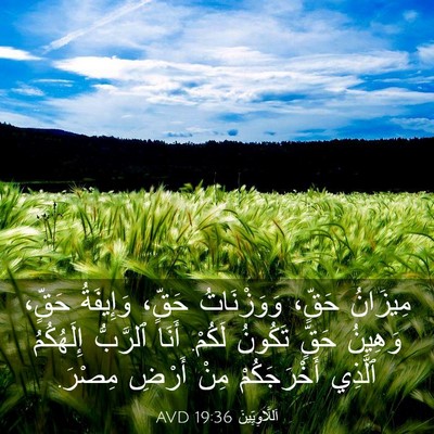 Picture 03 - اَللَّاوِيِّينَ 19:36 AVD - مِيزَانُ حَقٍّ، - Bible Verse Picture