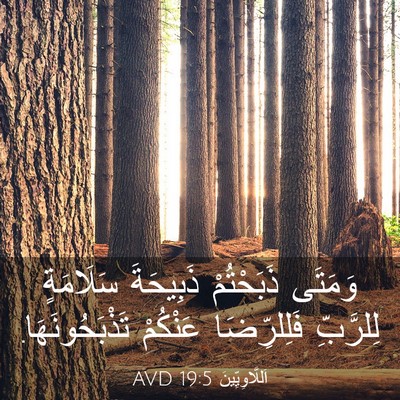 Picture 03 - اَللَّاوِيِّينَ 19:5 AVD - وَمَتَى ذَبَحْتُمْ - Bible Verse Picture