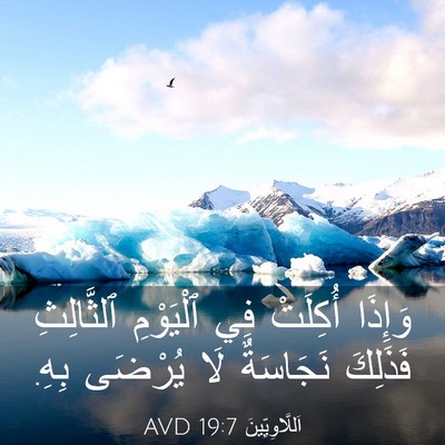 Picture 03 - اَللَّاوِيِّينَ 19:7 AVD - وَإِذَا أُكِلَتْ فِي - Bible Verse Picture