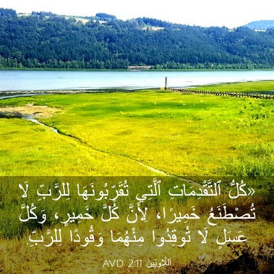 Picture 03 - اَللَّاوِيِّينَ 2:11 AVD - «كُلُّ ٱلتَّقْدِمَاتِ - Bible Verse Picture