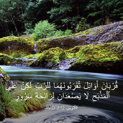 Picture 03 - اَللَّاوِيِّينَ 2:12 AVD - قُرْبَانَ أَوَائِلَ - Bible Verse Picture