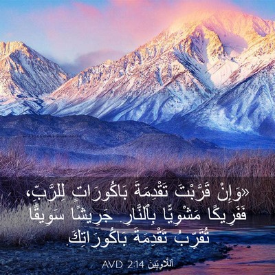 Picture 03 - اَللَّاوِيِّينَ 2:14 AVD - «وَإِنْ قَرَّبْتَ - Bible Verse Picture