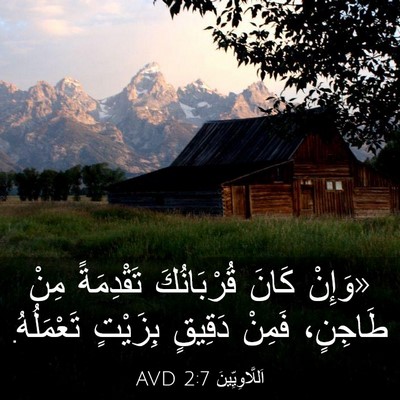 Picture 03 - اَللَّاوِيِّينَ 2:7 AVD - «وَإِنْ كَانَ قُرْبَانُكَ - Bible Verse Picture