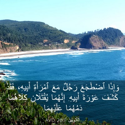 Picture 03 - اَللَّاوِيِّينَ 20:11 AVD - وَإِذَا ٱضْطَجَعَ رَجُلٌ - Bible Verse Picture