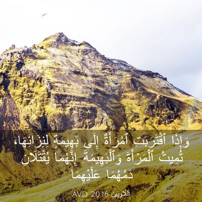 Picture 03 - اَللَّاوِيِّينَ 20:16 AVD - وَإِذَا ٱقْتَرَبَتِ - Bible Verse Picture