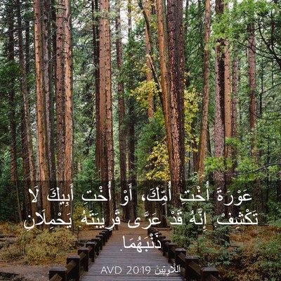 Picture 03 - اَللَّاوِيِّينَ 20:19 AVD - عَوْرَةَ أُخْتِ أُمِّكَ، - Bible Verse Picture