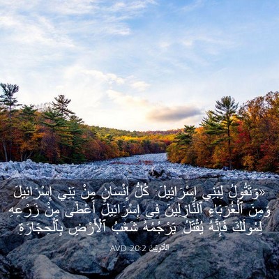 Picture 03 - اَللَّاوِيِّينَ 20:2 AVD - «وَتَقُولُ لِبَنِي - Bible Verse Picture