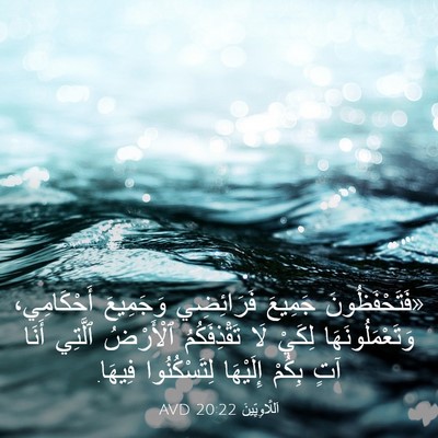 Picture 03 - اَللَّاوِيِّينَ 20:22 AVD - «فَتَحْفَظُونَ جَمِيعَ - Bible Verse Picture