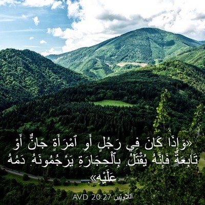 Picture 03 - اَللَّاوِيِّينَ 20:27 AVD - «وَإِذَا كَانَ فِي رَجُلٍ - Bible Verse Picture