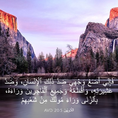 Picture 03 - اَللَّاوِيِّينَ 20:5 AVD - فَإِنِّي أَضَعُ وَجْهِي - Bible Verse Picture