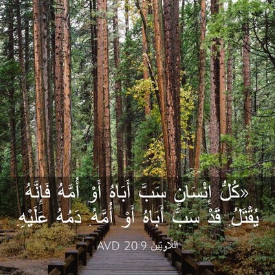 Picture 03 - اَللَّاوِيِّينَ 20:9 AVD - «كُلُّ إِنْسَانٍ سَبَّ - Bible Verse Picture
