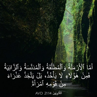 Picture 03 - اَللَّاوِيِّينَ 21:14 AVD - أَمَّا ٱلْأَرْمَلَةُ - Bible Verse Picture