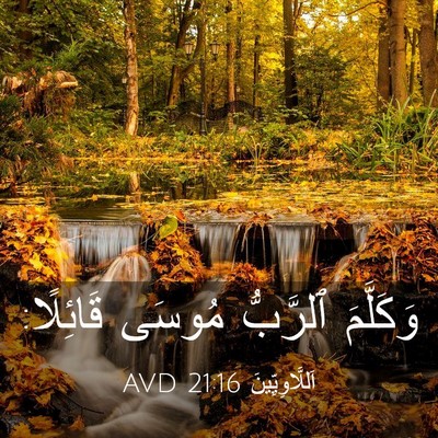 Picture 03 - اَللَّاوِيِّينَ 21:16 AVD - وَكَلَّمَ ٱلرَّبُّ مُوسَى - Bible Verse Picture