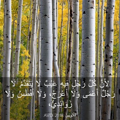 Picture 03 - اَللَّاوِيِّينَ 21:18 AVD - لِأَنَّ كُلَّ رَجُلٍ فِيهِ - Bible Verse Picture