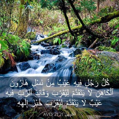 Picture 03 - اَللَّاوِيِّينَ 21:21 AVD - كُلُّ رَجُلٍ فِيهِ عَيْبٌ - Bible Verse Picture