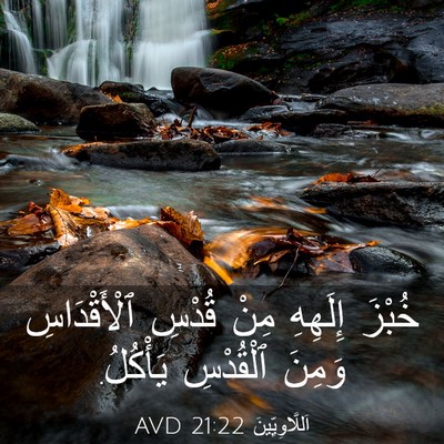 Picture 03 - اَللَّاوِيِّينَ 21:22 AVD - خُبْزَ إِلَهِهِ مِنْ - Bible Verse Picture