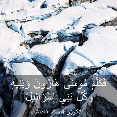 Picture 03 - اَللَّاوِيِّينَ 21:24 AVD - فَكَلَّمَ مُوسَى هَارُونَ - Bible Verse Picture