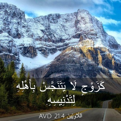 Picture 03 - اَللَّاوِيِّينَ 21:4 AVD - كَزَوْجٍ لَا يَتَنَجَّسْ - Bible Verse Picture