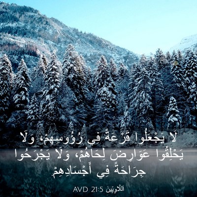 Picture 03 - اَللَّاوِيِّينَ 21:5 AVD - لَا يَجْعَلُوا قَرْعَةً - Bible Verse Picture