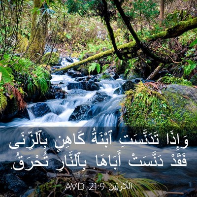 Picture 03 - اَللَّاوِيِّينَ 21:9 AVD - وَإِذَا تَدَنَّسَتِ - Bible Verse Picture