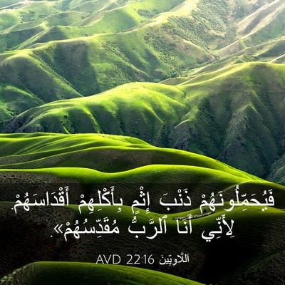 Picture 03 - اَللَّاوِيِّينَ 22:16 AVD - فَيُحَمِّلُونَهُمْ ذَنْبَ - Bible Verse Picture