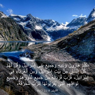 Picture 03 - اَللَّاوِيِّينَ 22:18 AVD - «كَلِّمْ هَارُونَ - Bible Verse Picture
