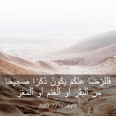 Picture 03 - اَللَّاوِيِّينَ 22:19 AVD - فَلِلرِّضَا عَنْكُمْ - Bible Verse Picture