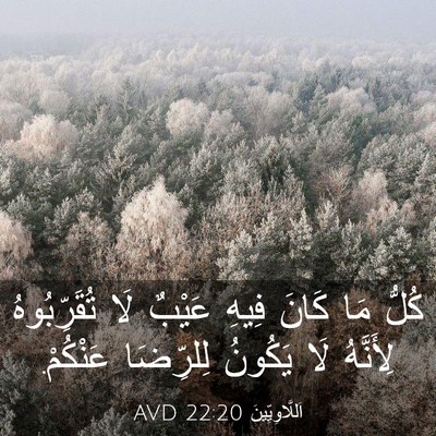 Picture 03 - اَللَّاوِيِّينَ 22:20 AVD - كُلُّ مَا كَانَ فِيهِ - Bible Verse Picture