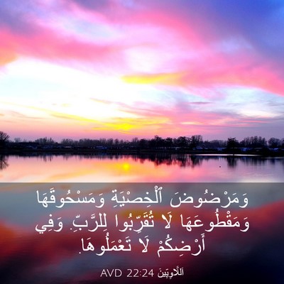 Picture 03 - اَللَّاوِيِّينَ 22:24 AVD - وَمَرْضُوضَ ٱلْخِصْيَةِ - Bible Verse Picture