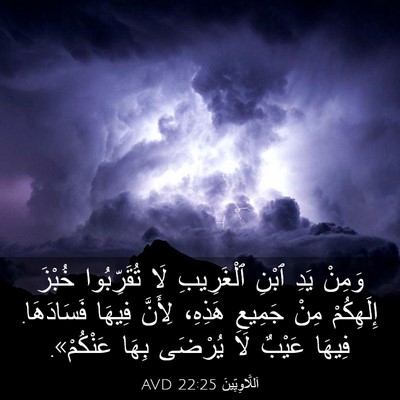 Picture 03 - اَللَّاوِيِّينَ 22:25 AVD - وَمِنْ يَدِ ٱبْنِ - Bible Verse Picture