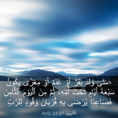 Picture 03 - اَللَّاوِيِّينَ 22:27 AVD - «مَتَى وُلِدَ بَقَرٌ أَوْ - Bible Verse Picture