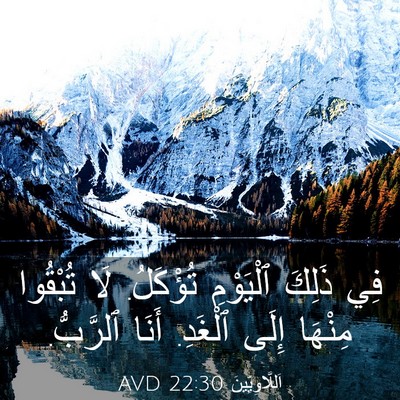 Picture 03 - اَللَّاوِيِّينَ 22:30 AVD - فِي ذَلِكَ ٱلْيَوْمِ - Bible Verse Picture