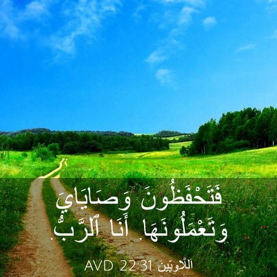 Picture 03 - اَللَّاوِيِّينَ 22:31 AVD - فَتَحْفَظُونَ وَصَايَايَ - Bible Verse Picture