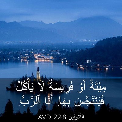 Picture 03 - اَللَّاوِيِّينَ 22:8 AVD - مِيْتَةً أَوْ فَرِيسَةً - Bible Verse Picture
