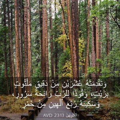 Picture 03 - اَللَّاوِيِّينَ 23:13 AVD - وَتَقْدِمَتَهُ عُشْرَيْنِ - Bible Verse Picture