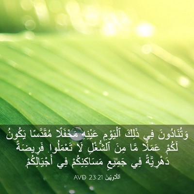 Picture 03 - اَللَّاوِيِّينَ 23:21 AVD - وَتُنَادُونَ فِي ذَلِكَ - Bible Verse Picture