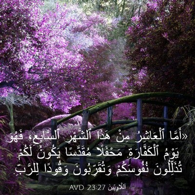 Picture 03 - اَللَّاوِيِّينَ 23:27 AVD - «أَمَّا ٱلْعَاشِرُ مِنْ - Bible Verse Picture