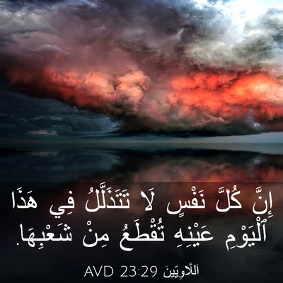 Picture 03 - اَللَّاوِيِّينَ 23:29 AVD - إِنَّ كُلَّ نَفْسٍ لَا - Bible Verse Picture