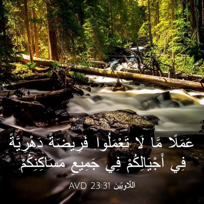 Picture 03 - اَللَّاوِيِّينَ 23:31 AVD - عَمَلًا مَّا لَا - Bible Verse Picture
