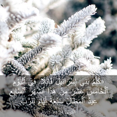 Picture 03 - اَللَّاوِيِّينَ 23:34 AVD - «كَلِّمْ بَنِي - Bible Verse Picture