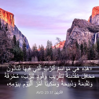 Picture 03 - اَللَّاوِيِّينَ 23:37 AVD - «هَذِهِ هِيَ مَوَاسِمُ - Bible Verse Picture