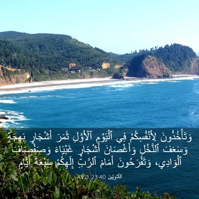 Picture 03 - اَللَّاوِيِّينَ 23:40 AVD - وَتَأْخُذُونَ - Bible Verse Picture